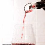Aerador de Vinhos L'Primeur Prana