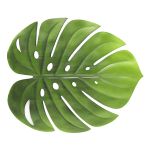 Jogo 2 Americanos Verde Folha Garden Leaf Lyor