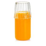 Moringa Vidro Borossilicato 600 ml Zahav