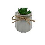 Vaso com Suculenta Dolomita Plástico 9,5x13 cm Cinza