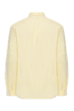 CAMISA COLARINHO CURTO