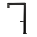 Misturador Monocomando Gourmet Bica Giratória Black Matte Lexxa