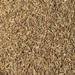 Erva Doce | Sementes 1Kg