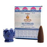 Kit Incensário Indiano Cascata Azul e Incenso Sal Do Himalaia