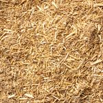 Absinto Gentil | Losna | Folhas 250g