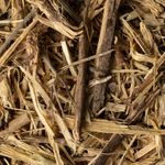 Ginseng Brasileiro | Raiz Rasurada 250g