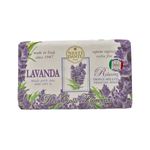 Sabonete Italiano Nesti Dante Lavanda | Linha Fiorentini 250g