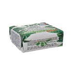 Sabonete Italiano Nesti Dante Aloe | Linha Dal Frantoio 100g