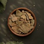 Ginkgo Biloba | Folhas