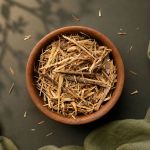 Ginseng Brasileiro | Raiz Rasurada