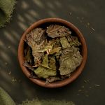 Goiabeira | Folhas 500g