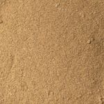 Sálvia Officinalis | em Pó