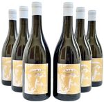 Vinho Caballo Grand Experimental Norte Verde CHARDONNAY 750ml | Super  Oferta