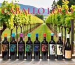 Vinho Combo COLEÇÃO 09 Caballo Loco - Mix | SUPER PROMOÇÃO