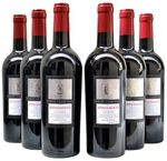 Vinho Conte di Campiano Negroamaro Apassimento IGT 750ml | Super Oferta