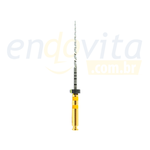 Lima Protaper Gold c/6 Dentsply