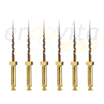 Lima Protaper Gold c/6 Dentsply