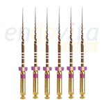 Lima Protaper Gold c/6 Dentsply