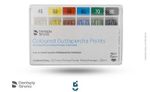 Guta s/Tapper Dentsply c/60