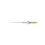 Lima Protaper Next Dentsply c/3