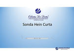 Sonda Rhein Odous