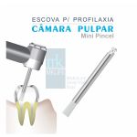 Escova Profilática Mk Life