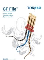 Lima GF File TDK c/4