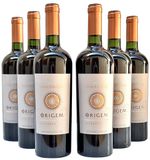 Vinho Origem Cabernet Sauvignon - Casa Valduga | Oferta
