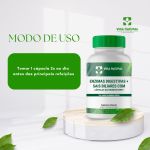 Enzimas Digestivas + Sais Biliares Cápsulas Gastroresistentes