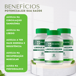 Libidux Mulher - 60 Cápsulas COMPRE 2 LEVE 3