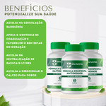 Fórmula Composta Nattokinase - 60 Cápsulas COMPRE 2 LEVE 3