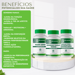 Kit Ginseng Panax 500mg - 60 Cápsulas com Tadalaf 10mg + Ocitocina 10ui + Arginina 500mg - 60 Cápsulas com NADH 10mg - 60 Cápsulas 