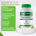 Fórmula Performance Masculina - Feno Grego 200mg, Arginina 200mg, Turkesterone 200mg, Tribullus Terrestris 200mg, Maca Peruana 200mg, Long Jack 200mg, Catuaba 100mg, Marapuama 100mg, Zinco 5mg, Vit B6 1mg, Vit B12 45mcg - 90 cápsulas