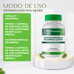 Xanthoparmelia Scabrosa 100mg - Vida Natural