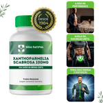 Xanthoparmelia Scabrosa 100mg - Vida Natural
