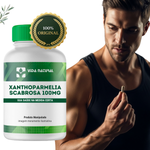 Xanthoparmelia Scabrosa 100mg - Vida Natural