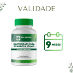 Xanthoparmelia Scabrosa 100mg - Vida Natural