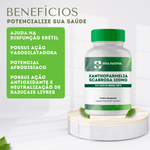 Xanthoparmelia Scabrosa 100mg - Vida Natural