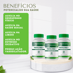 Testo Pro + (Long jack 400mg + Tadalafila 5mg + Epimedium 200mg + Turkesterone 200mg) - 120 Cápsulas  COMPRE 2 LEVE 3