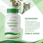 Fígado em Equilíbrio: Ação Antioxidante e Hepática VidaVet - 60 Cápsulas