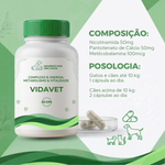 Complexo B: Energia, Metabolismo e Vitalidade VidaVet - 30 cápsulas