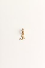 Charm Bikini Golfinho