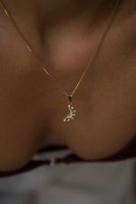 Colar Lua Cravejado (Almas)