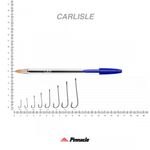 ANZOL CARLISLE PERNA LONGA PINNACLE
