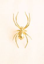 Anel Aranha 