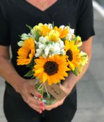 Raio de Sol