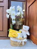 Orquídea Baby