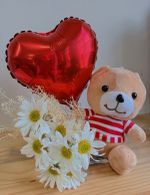 Urso Carinhoso
