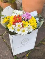 Flower Bag  Alegres Margaridas
