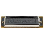 Gaita Hohner Diatônica Blues Harp C Dó 532/20 MS Com Case